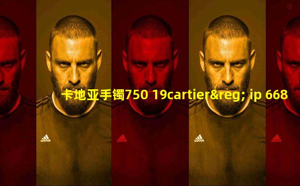 卡地亚手镯750 19cartier® ip 6688